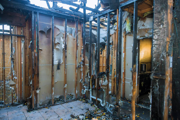 Professional Soot Cleanup technician working in Cleveland, FL